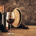 The Best Wines for Beginners: A Guide from a Wine Expert